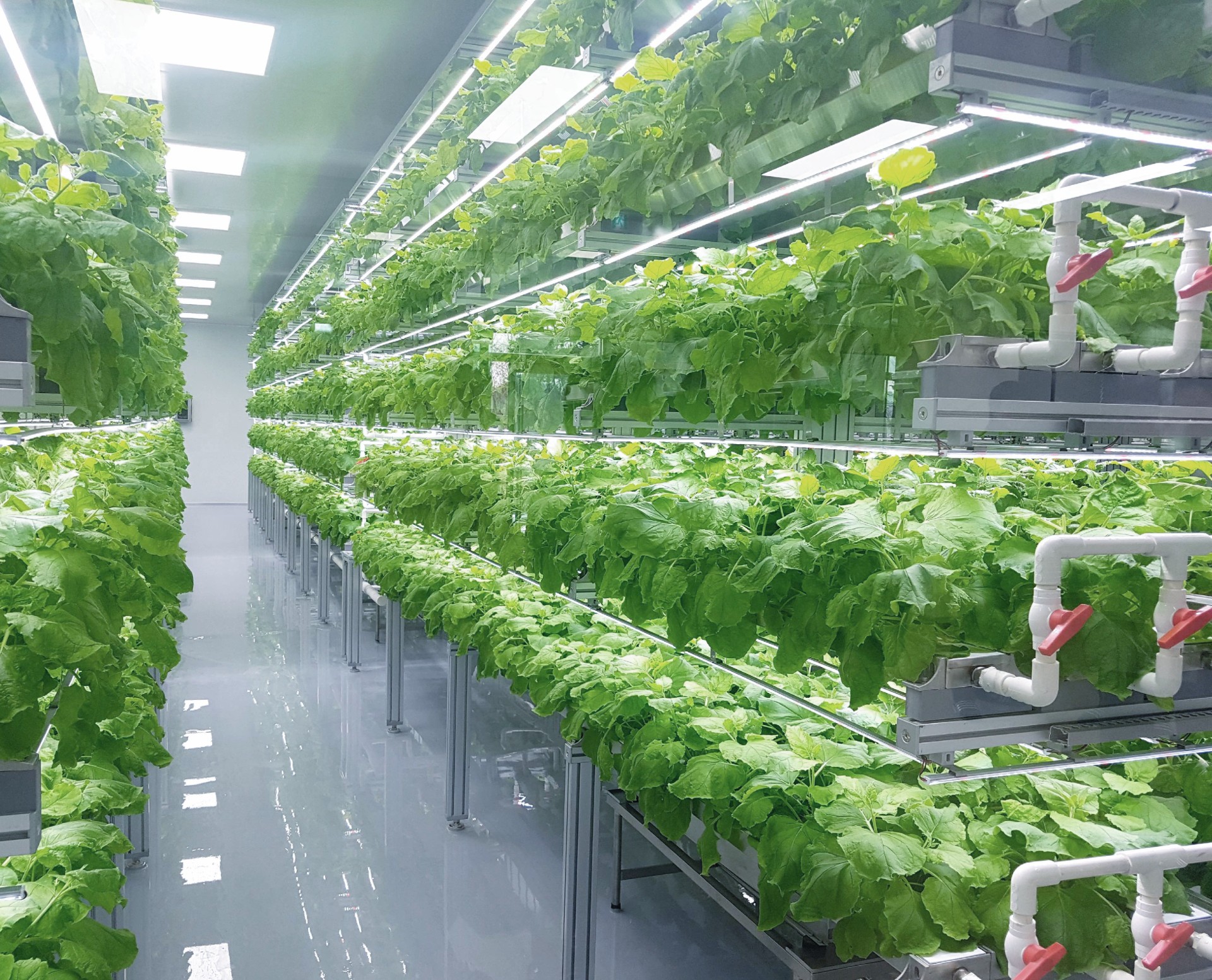 绿色农业高新技术产业示范项目