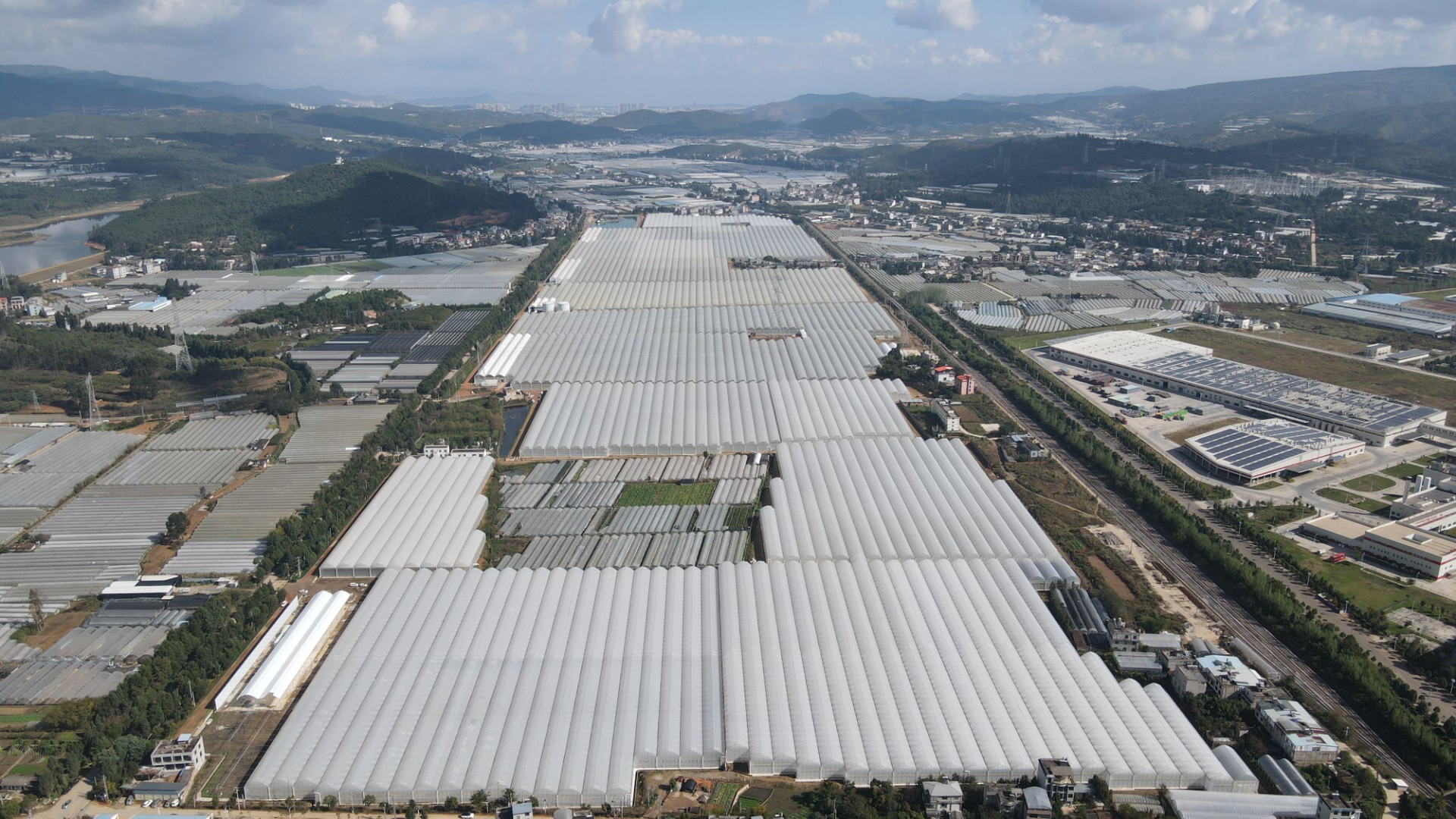 3A娱乐城
现代花卉温室大棚