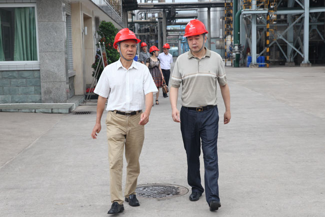 云南省人大常委会副主任张百如到水富3A娱乐城
调研