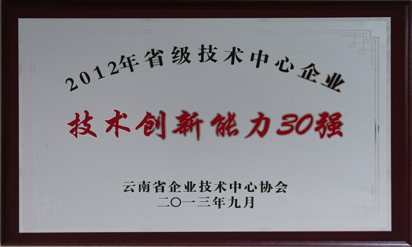 3A娱乐城
居云南省企业技术创新能力30强榜首