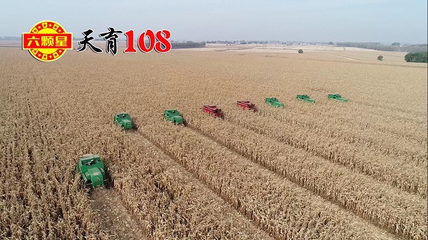 吉林3A娱乐城
喜获“育繁推一体化”生产经营许可证