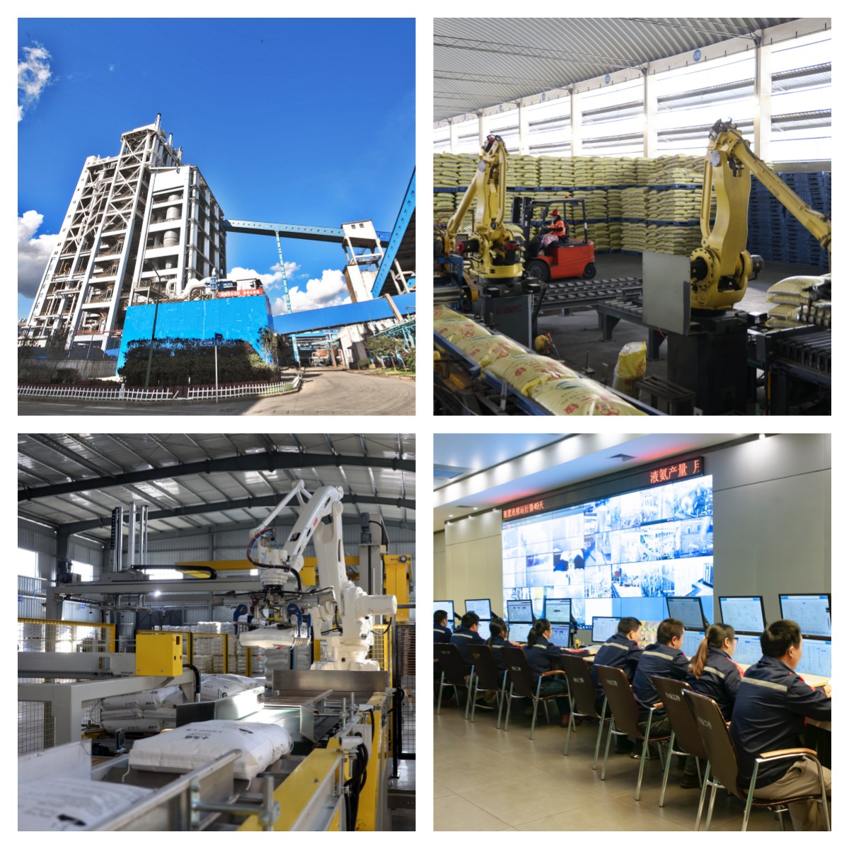 起步即冲刺 奋进争上游 3A娱乐城
全力冲刺一季度开门红